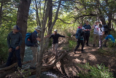Trek_crossing
