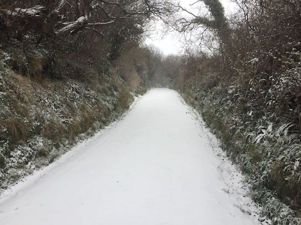 Sark snow