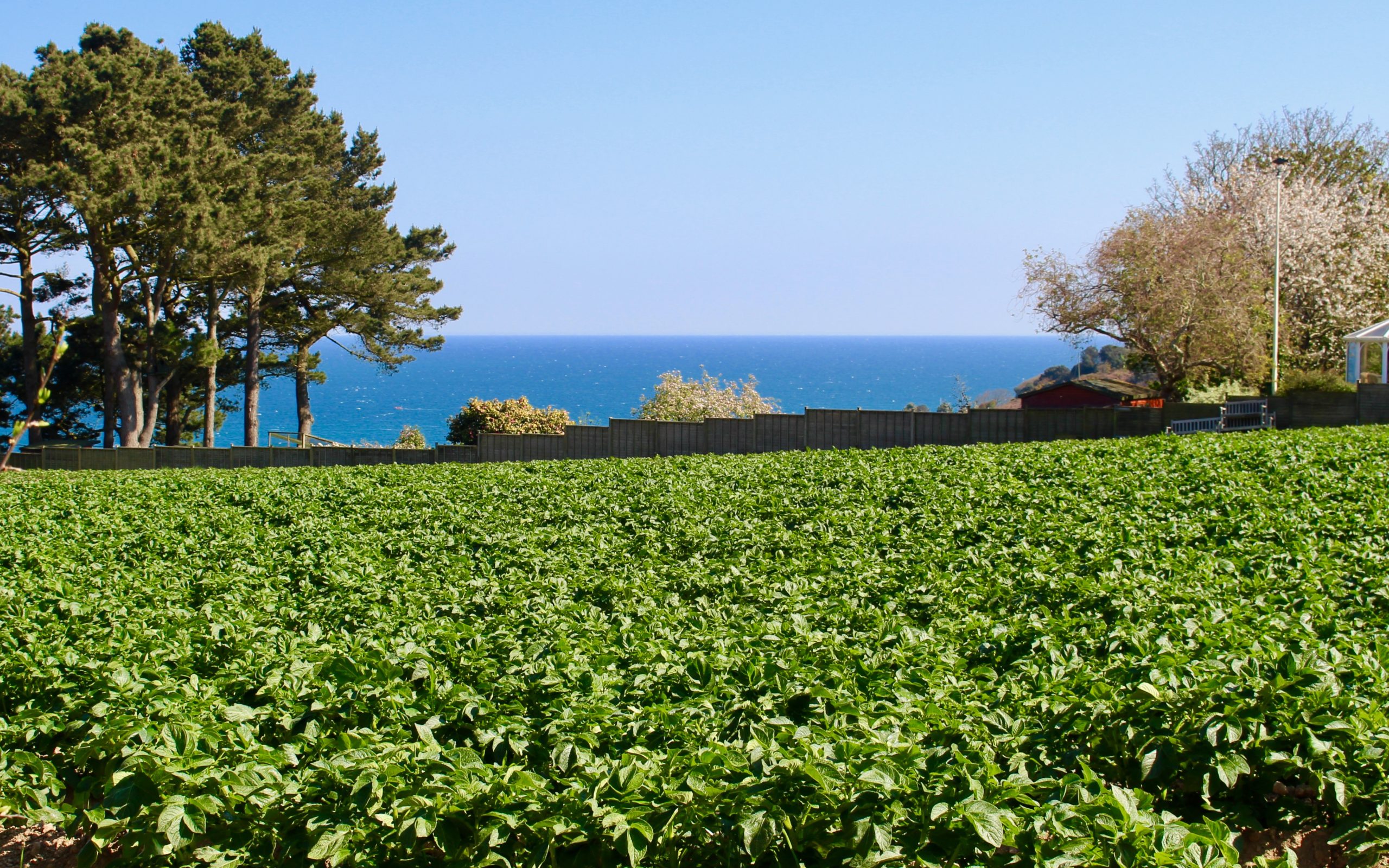 Anneville Farm (Credit: The good Jersey Life)