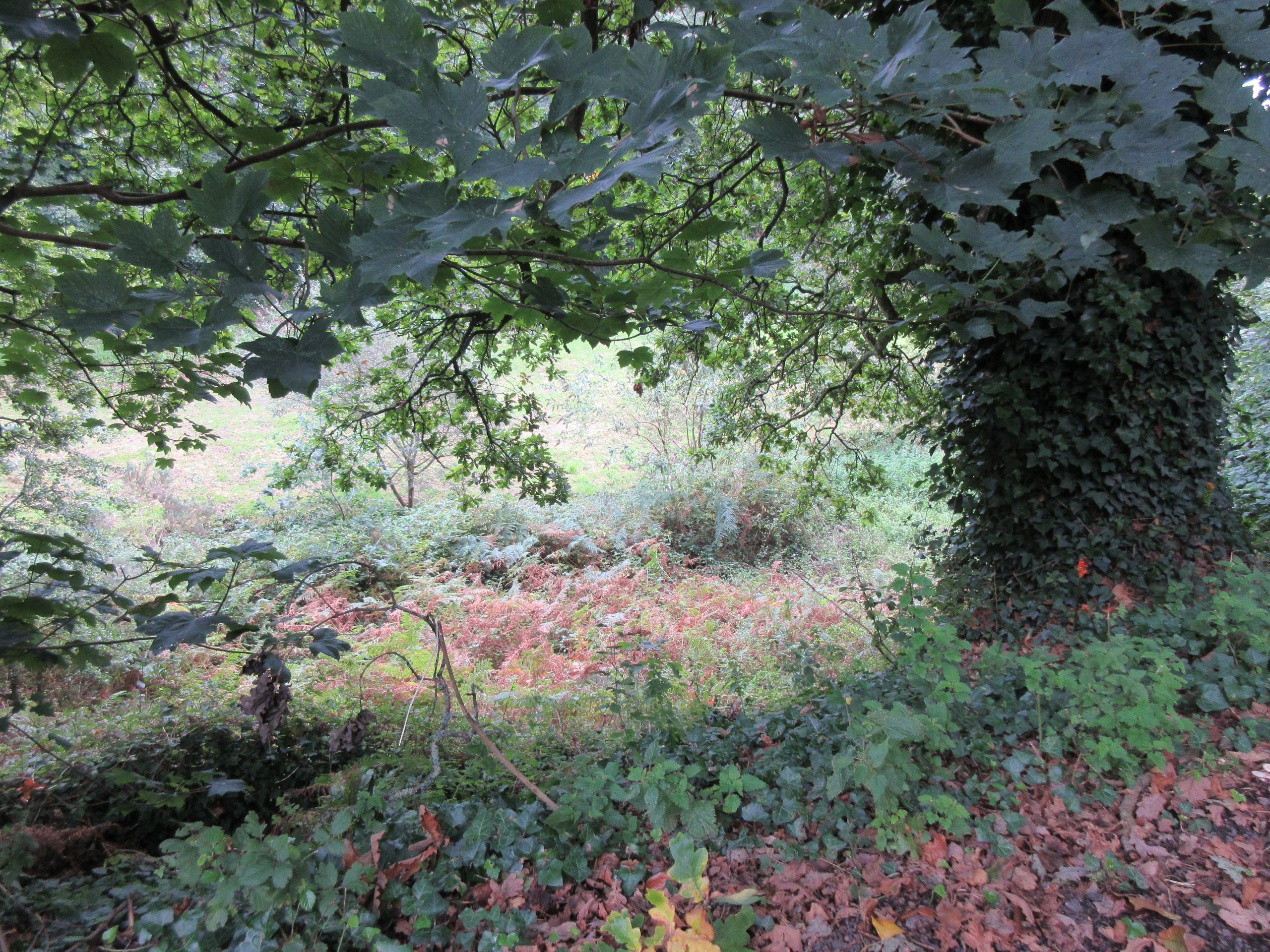 Pathways-1