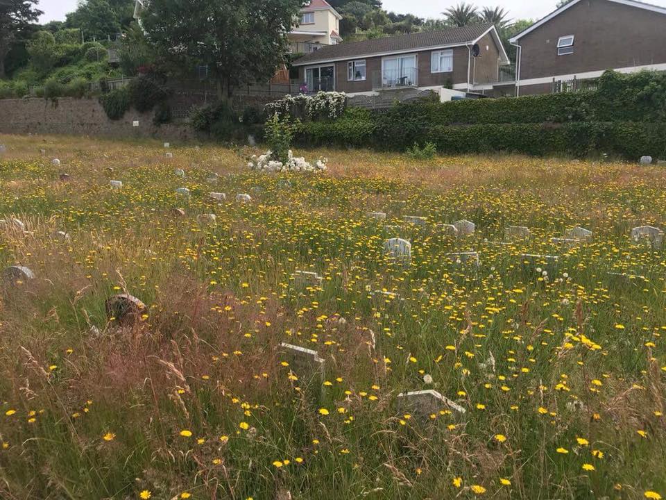 animalcemeteryjspca