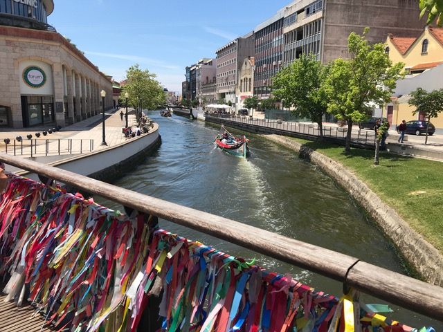 Indy_Luce_Aveiro Cruz