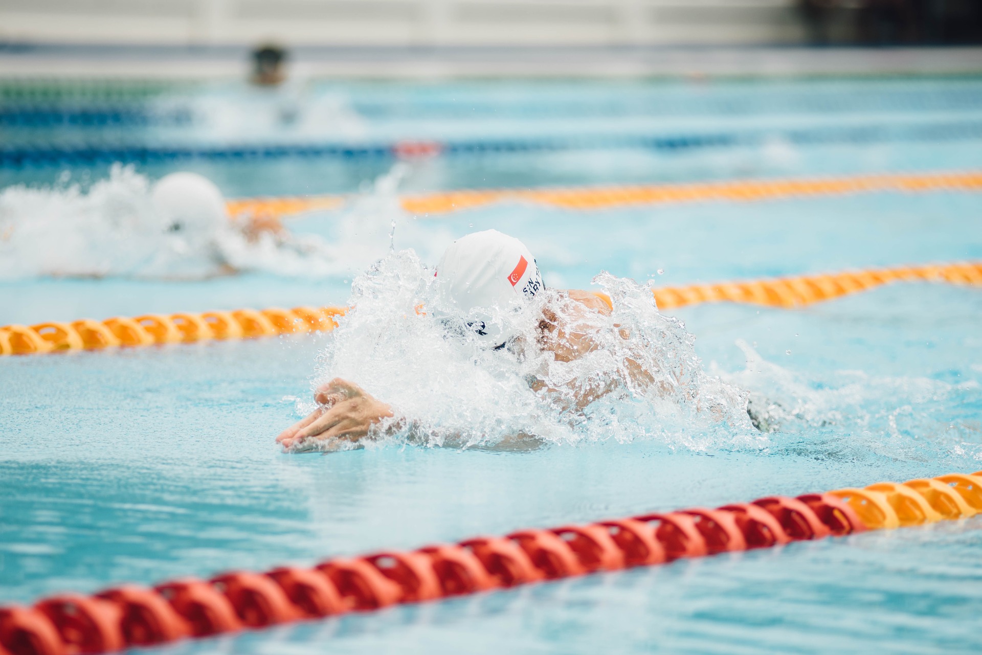 swimming pool swimmer