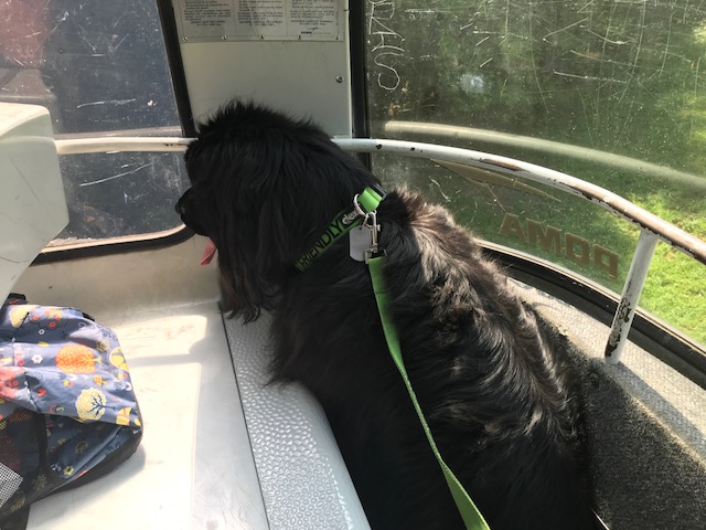 Indie Luce gondola ride