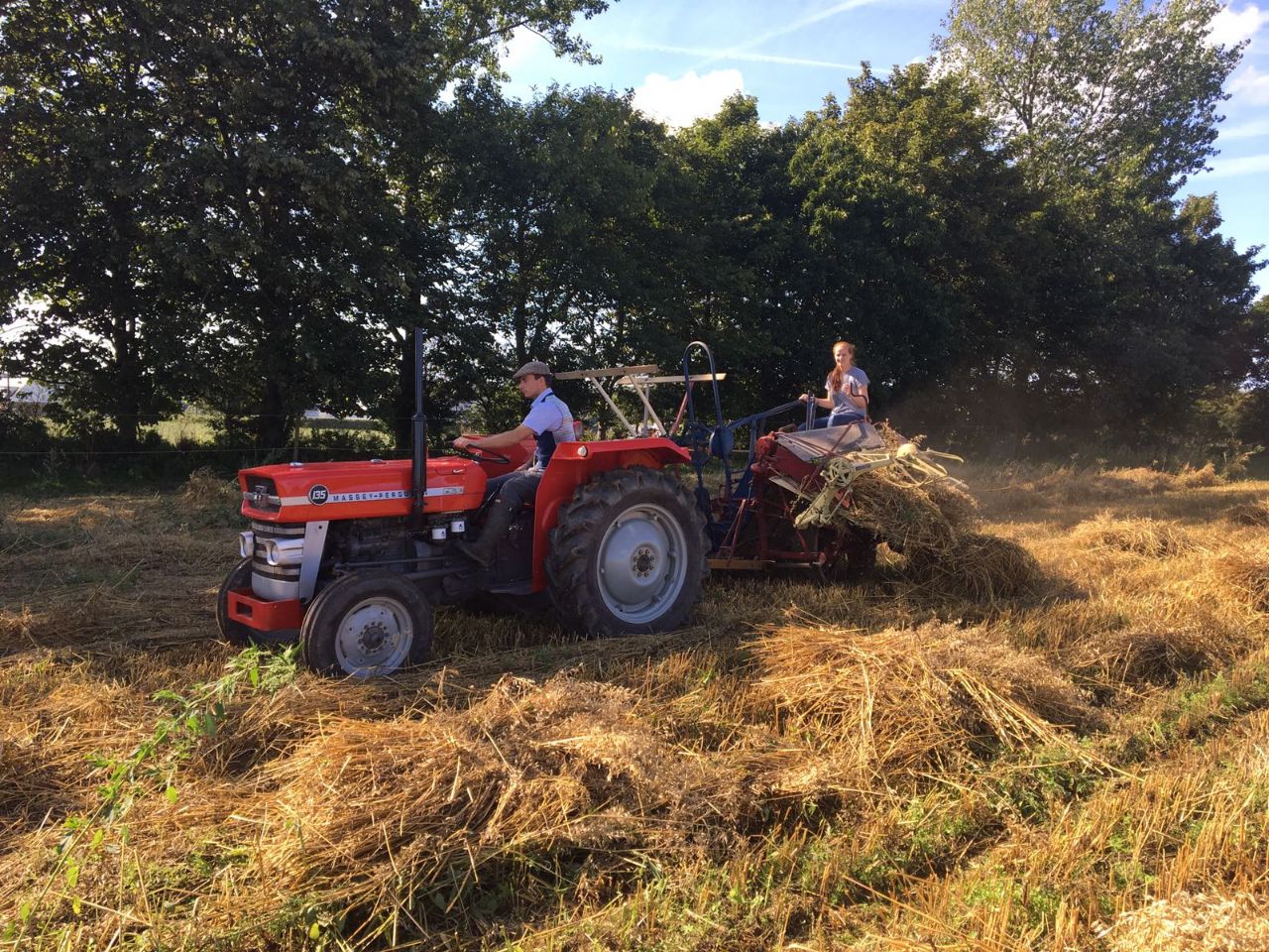 Tractor_hay_1.jpg
