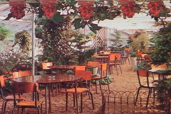 Inside of Tomato centre.jpg