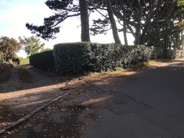 Path_to_road.jpeg