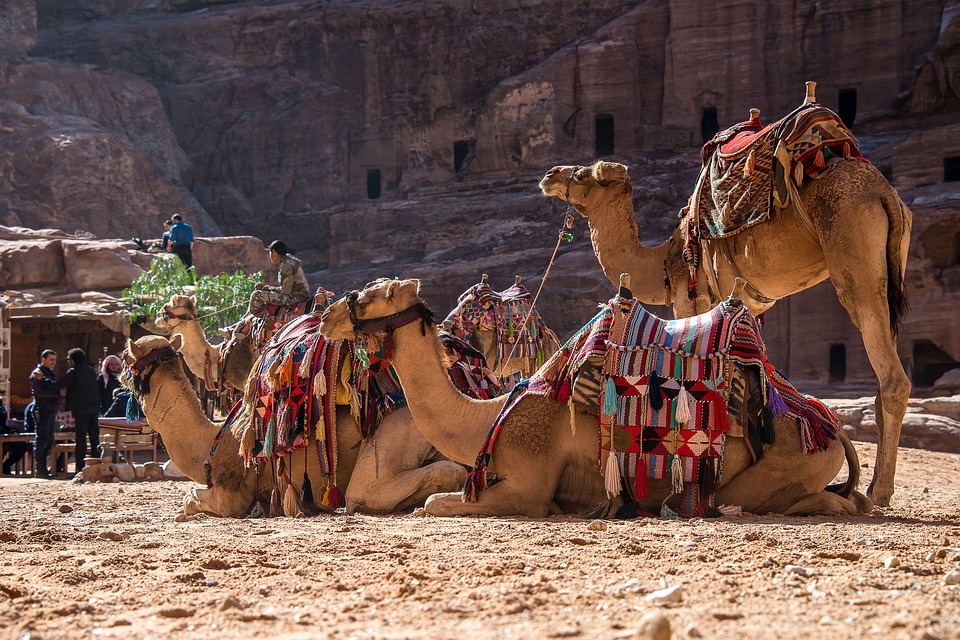 jordanpetra1.jpg