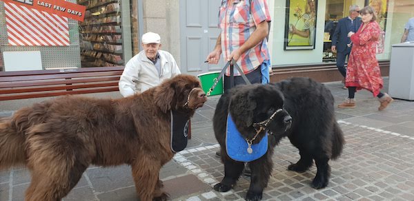 5Big_Dog_Club_NSPCC_2018