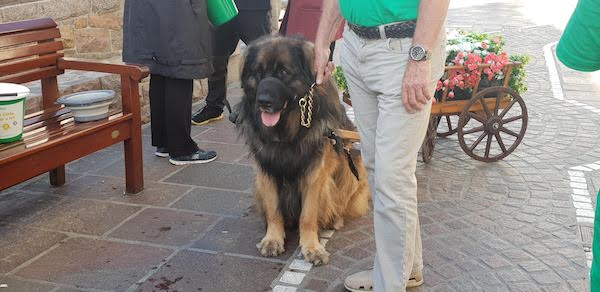 8Big_Dog_Club_NSPCC_2018