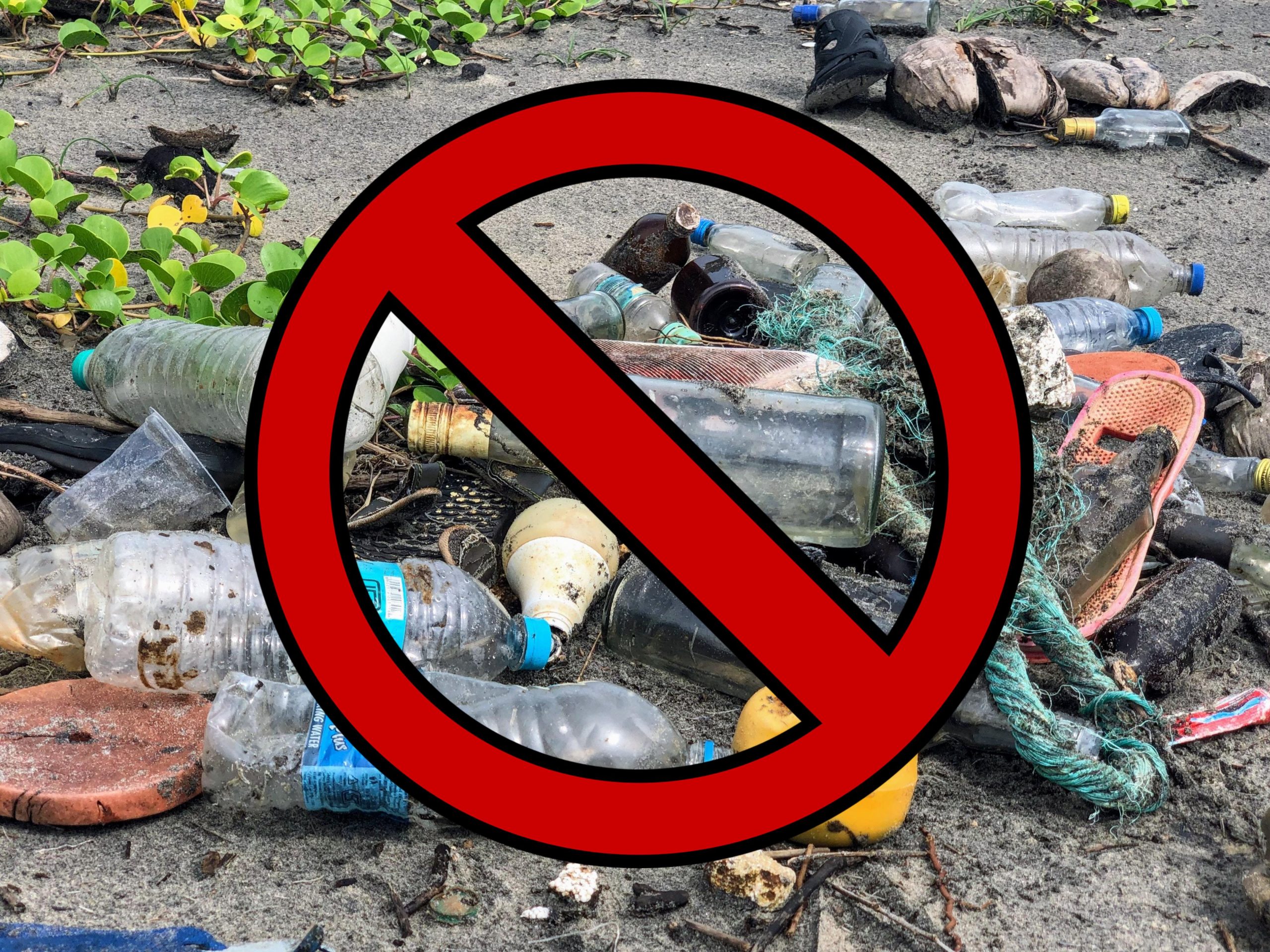 Ban_plastics.jpg