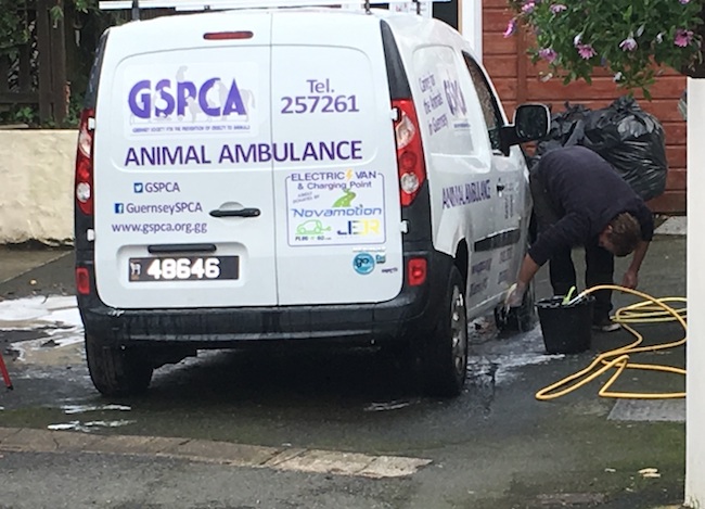 GSPCA.jpg