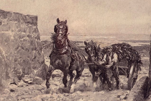 vraic Guernsey Museums website