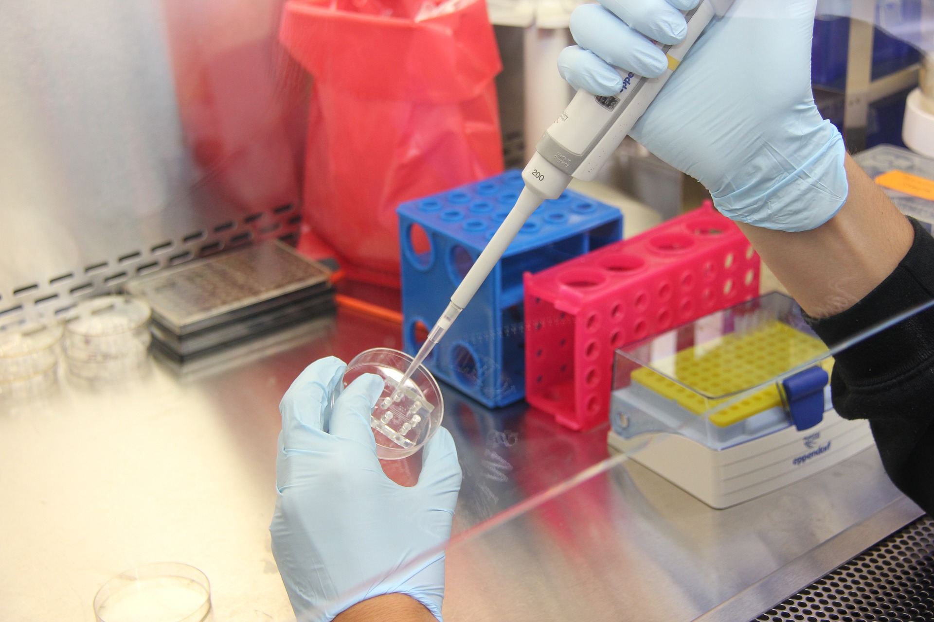science labs testing analysis
