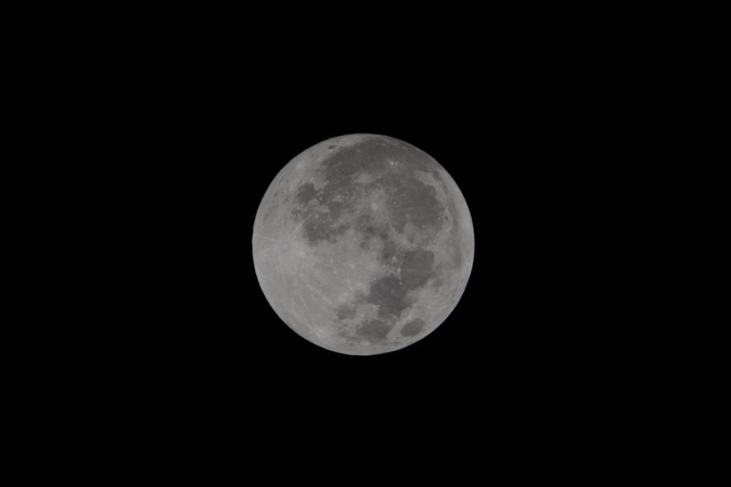 SUPERWOLFMOONcrop_DSC51622.jpg