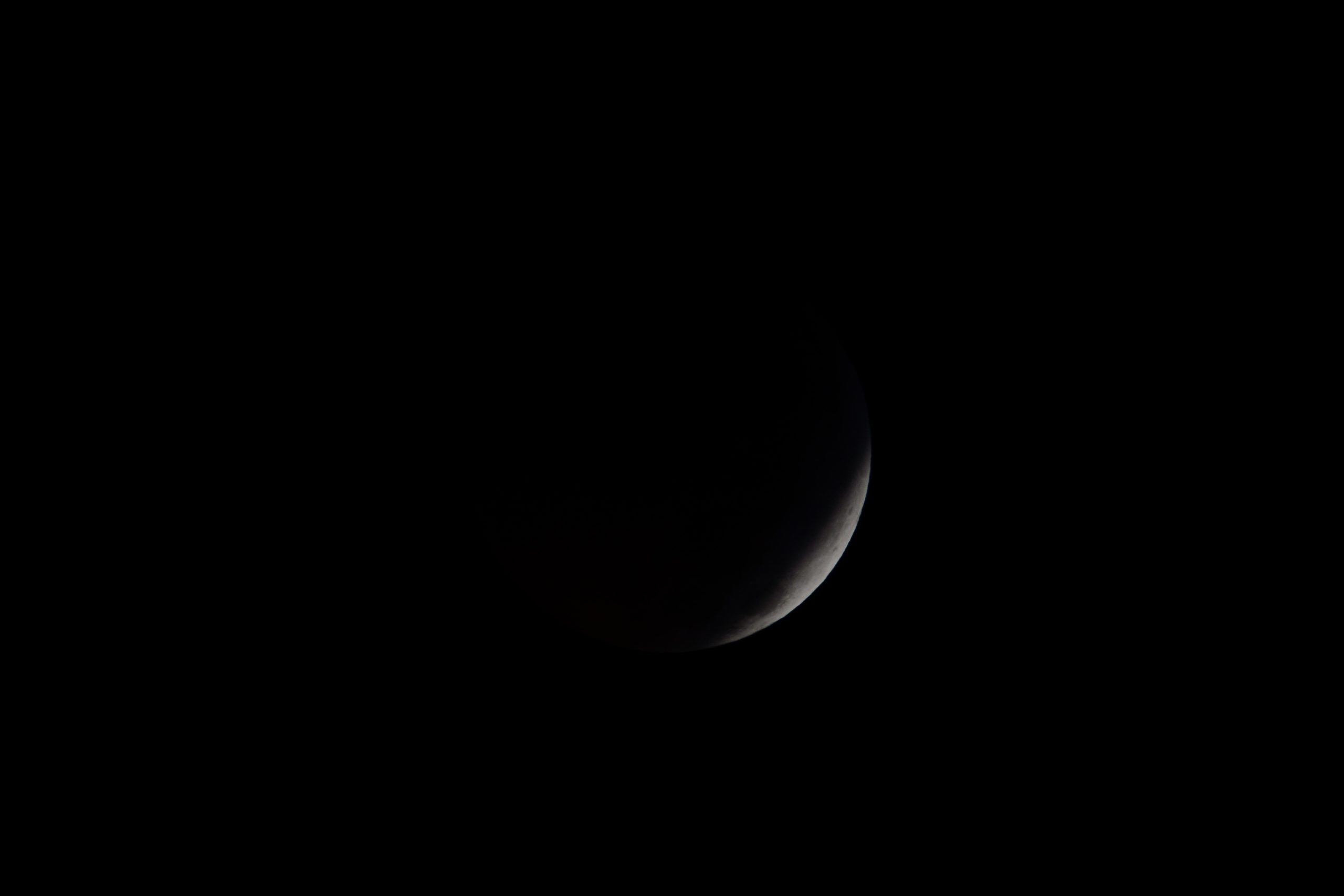 SUPERWOLFMOONcrop_DSC51685.jpg