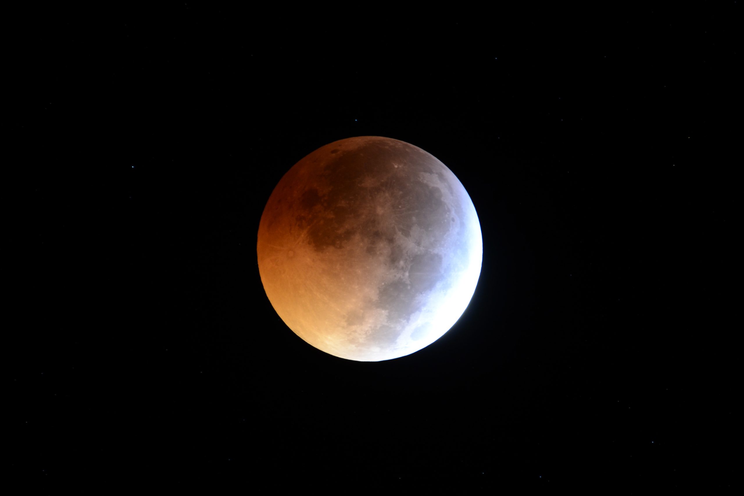 SUPERWOLFMOONcrop_DSC51770.jpg