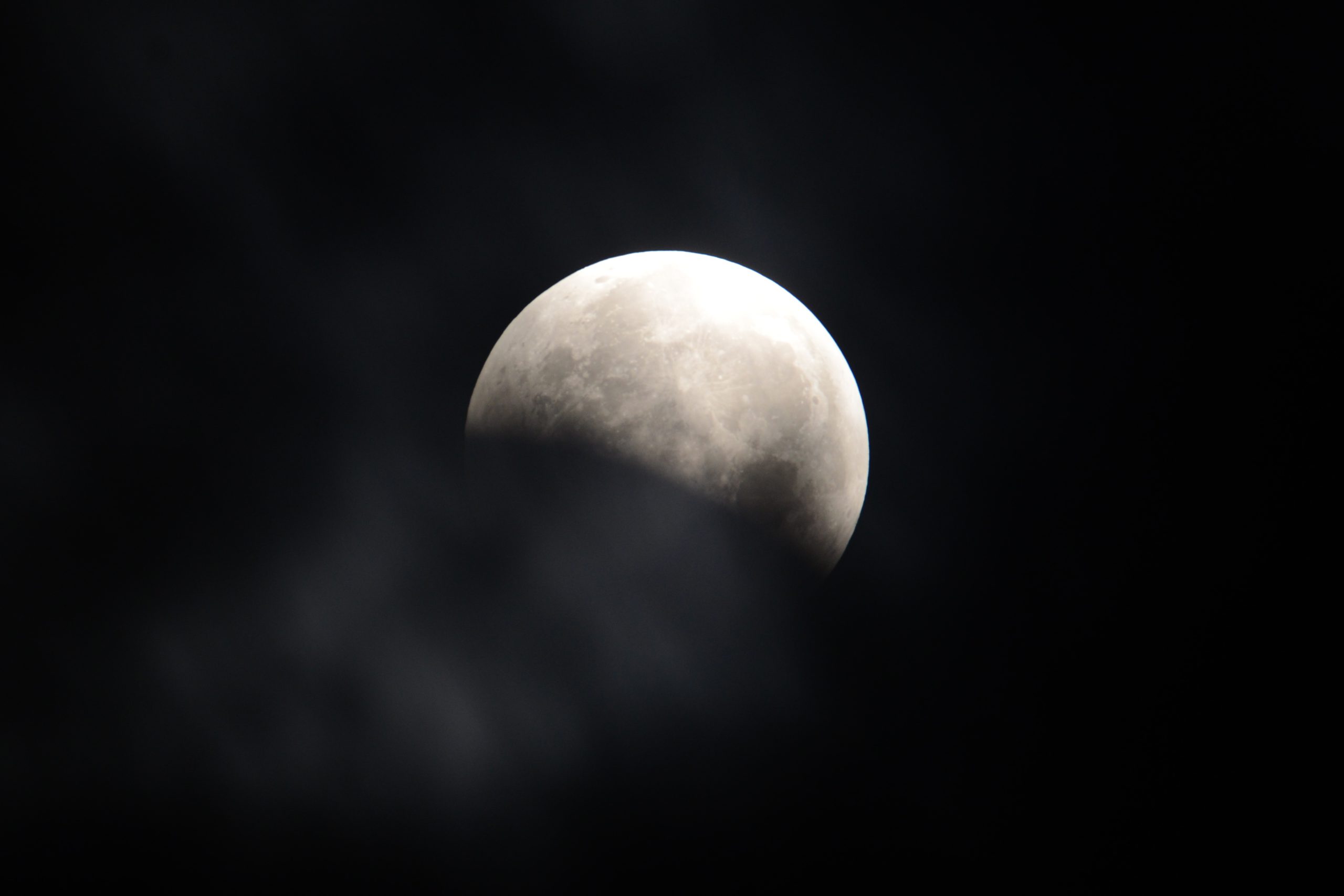 SUPERWOLFMOONcrop_DSC51882.jpg