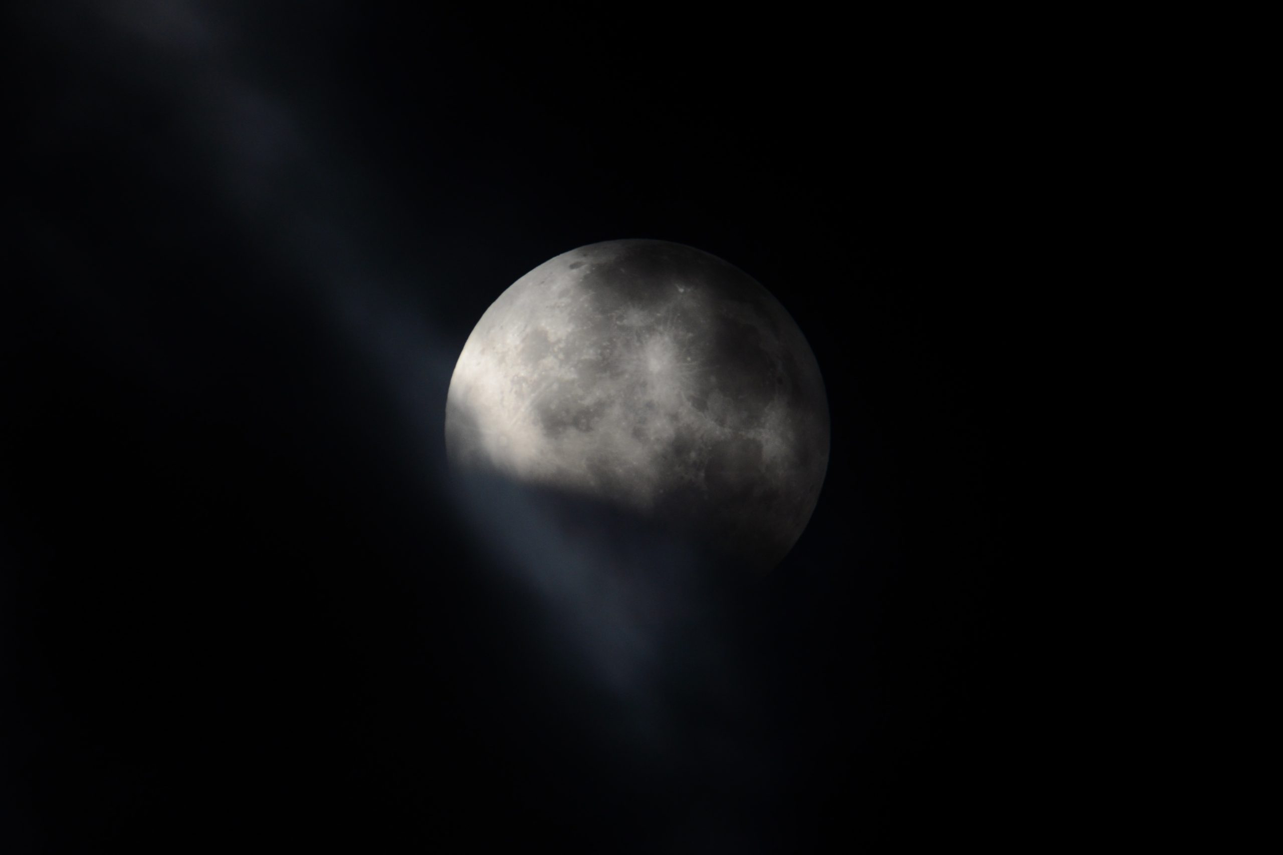 SUPERWOLFMOONcrop_DSC51891.jpg
