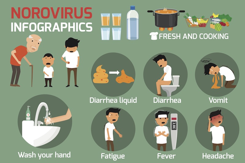 shutterstock norovirus