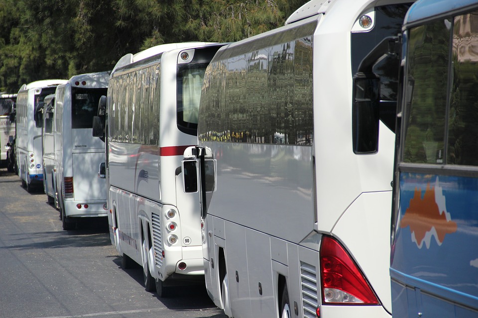 buses.jpg