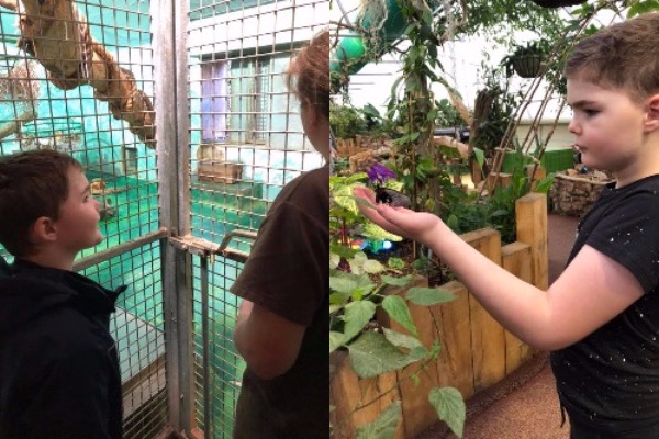 Keir_Lindsay_Jersey_Zoo-2.jpg