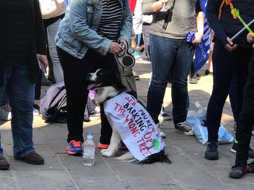 teacher_strike_4