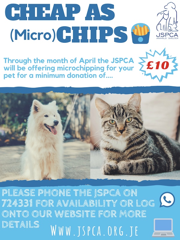 Microchipping_Month_Poster.jpg