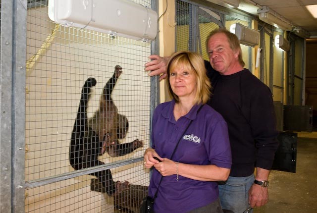 kodak gspca