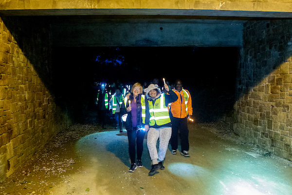10Walk_into_Light_2019