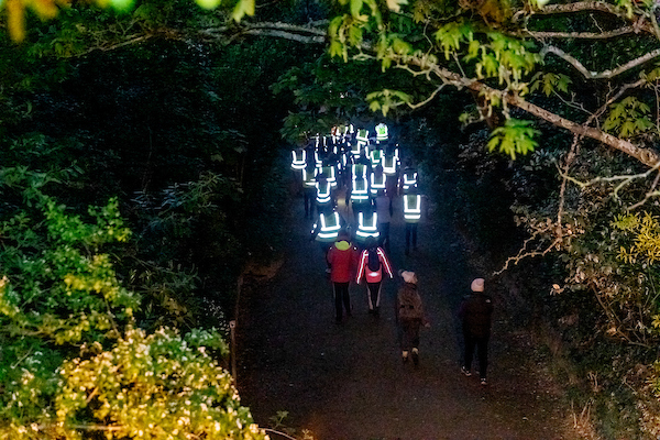 11Walk_into_Light_2019