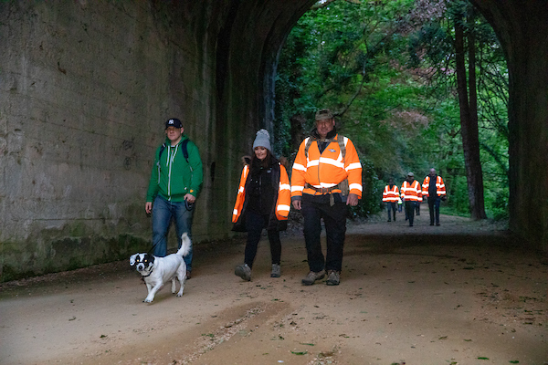 13Walk_into_Light_2019