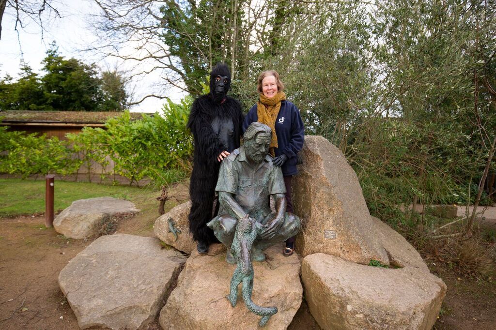 4Will_Highfield_Jersey_Gorilla.jpg