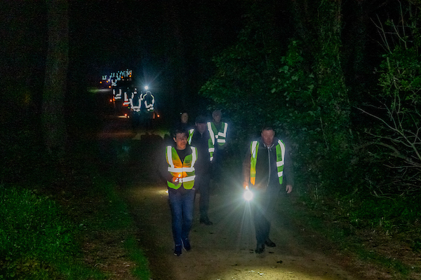 7Walk_into_Light_2019