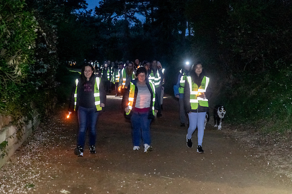 9Walk_into_Light_2019