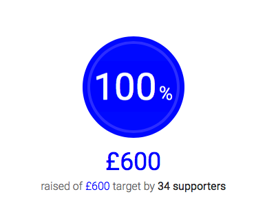 Heston_crowdfunding.png