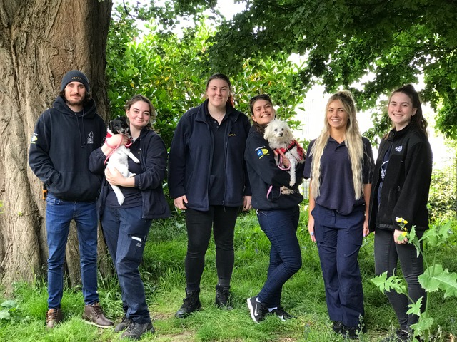 Intertrust_sow_the_seeds_for_longevity_with_the_JSPCA.jpeg