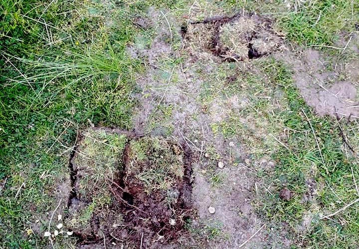 SSIdetectorists3.jpg