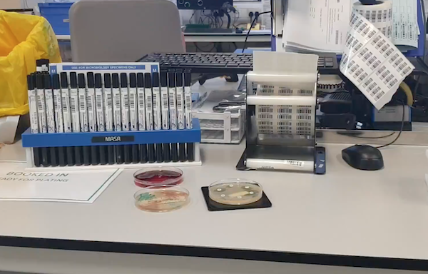 2Laboratory_microbiology_samples.png