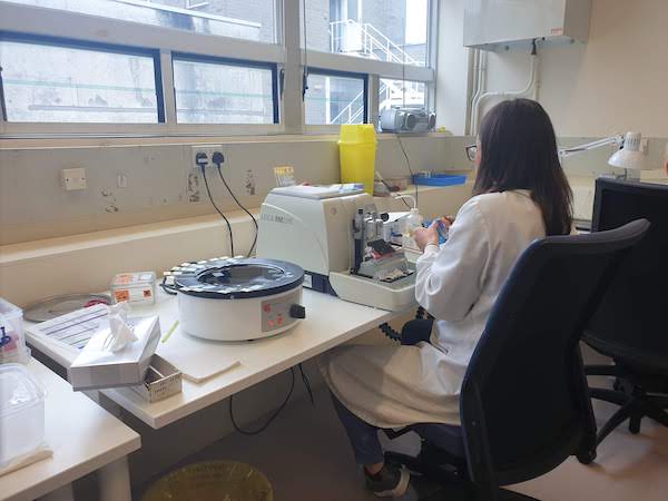 2Pathology_Lab_histology.jpg