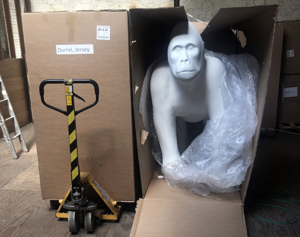 Gorillas_arrive_2.jpg