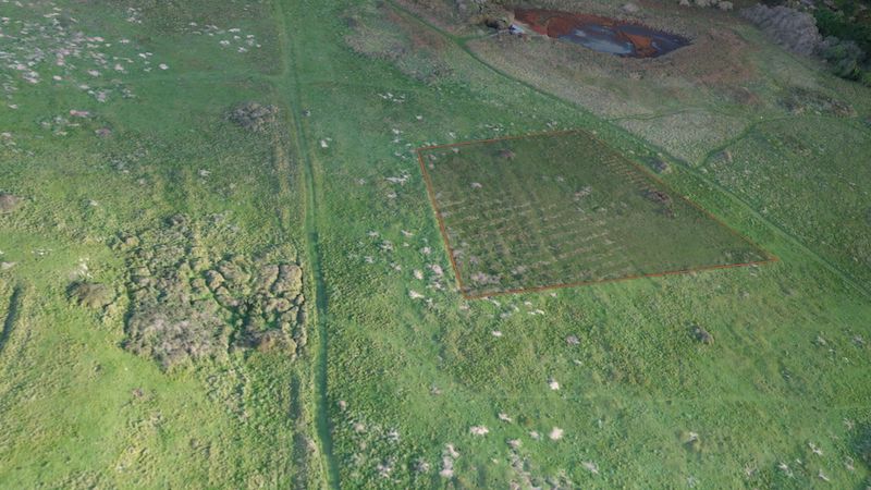 Drone photogrammetry data showing the area of the former forced and slave labourers&rsquo; cemetery