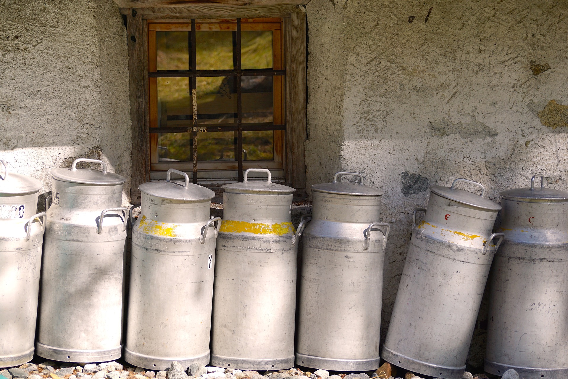 milk container