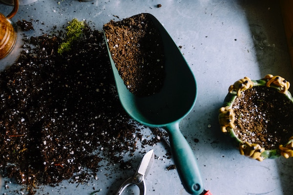 gardening planting