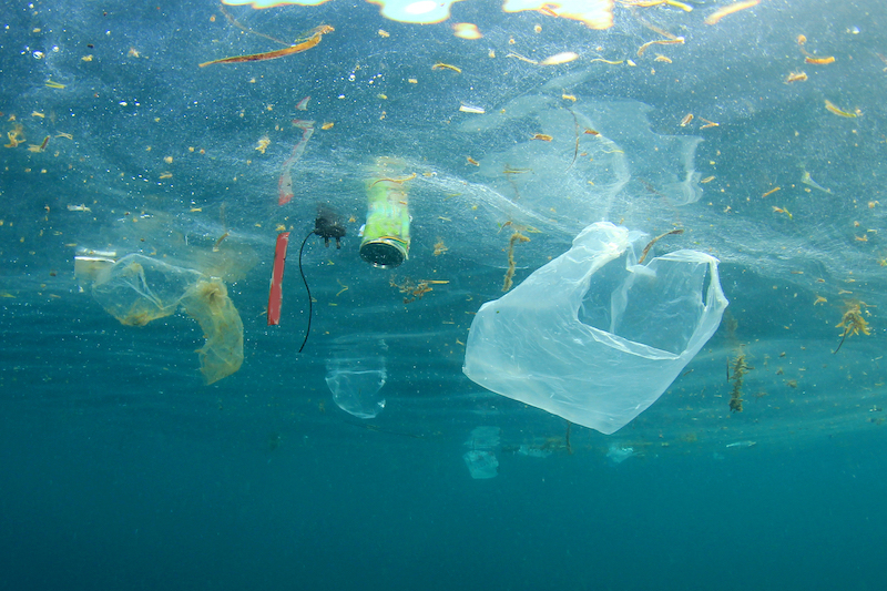 shutterstock carrier bag plastic bag