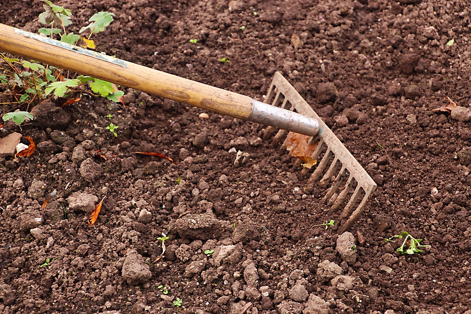 rakegardeninggardensoil.jpg