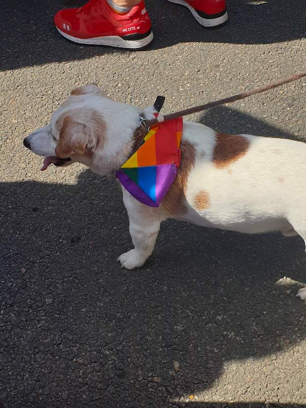 10CI_Pride_2019