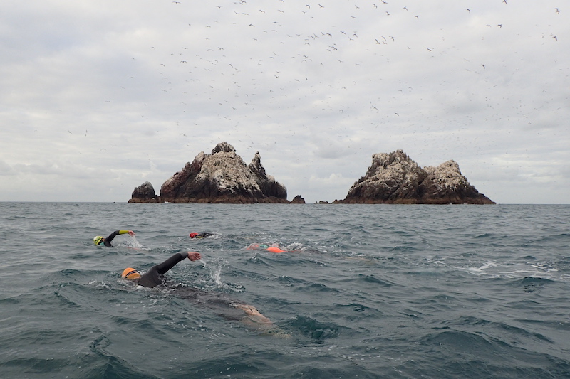 Alderney swim 2019
