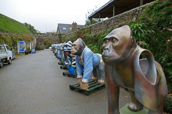 Goodbye_gorillas6