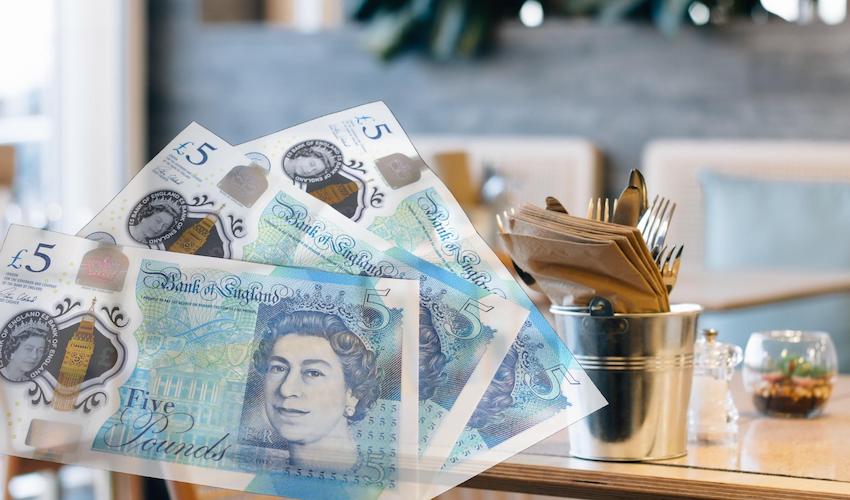 Money_restaurant-2.jpg
